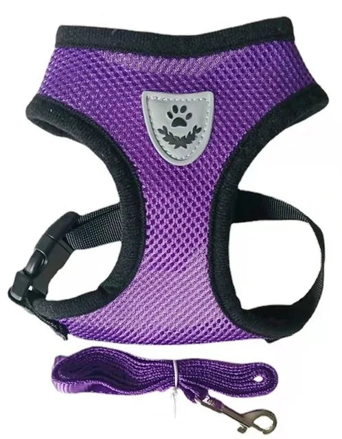 Small Dog Mesh Harness & 1.1 m Lead Set