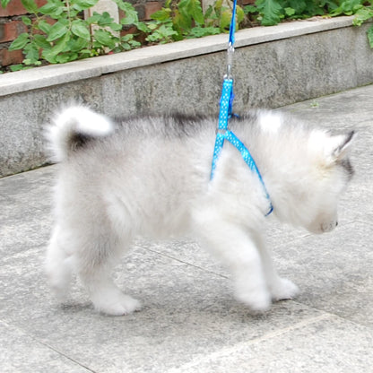 Patterned Adjustable Dog Harness & Lead Set