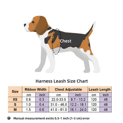 Patterned Adjustable Dog Harness & Lead Set