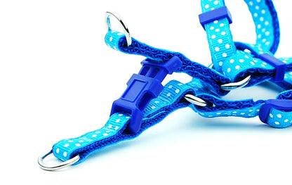 Patterned Adjustable Dog Harness & Lead Set