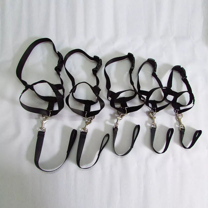 Adjustable Nylon Dog Headcollar