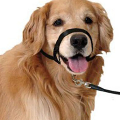 Adjustable Nylon Dog Headcollar