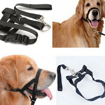 Adjustable Nylon Dog Headcollar