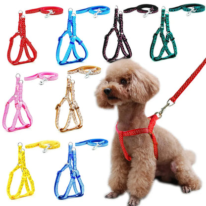 Patterned Adjustable Dog Harness & Lead Set