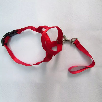 Adjustable Nylon Dog Headcollar