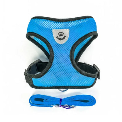 Small Dog Mesh Harness & 1.1 m Lead Set