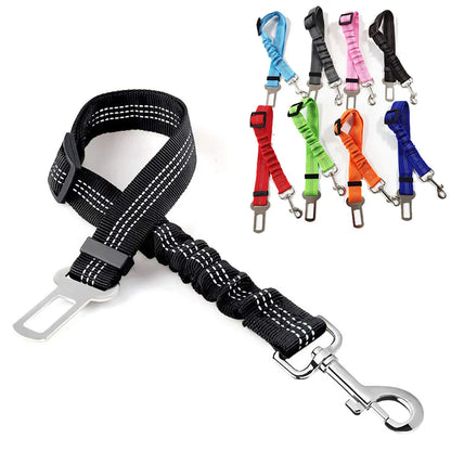 Elastic Dog Car Tether