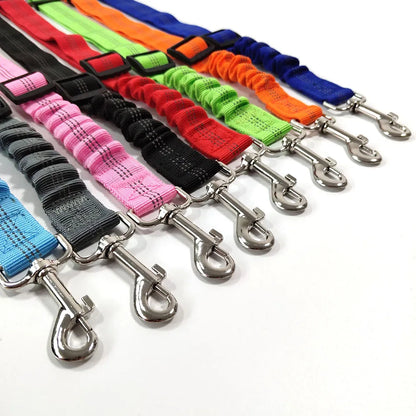 Elastic Dog Car Tether