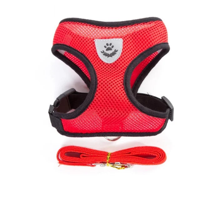 Small Dog Mesh Harness & 1.1 m Lead Set