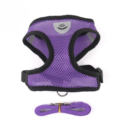 Small Dog Mesh Harness & 1.1 m Lead Set