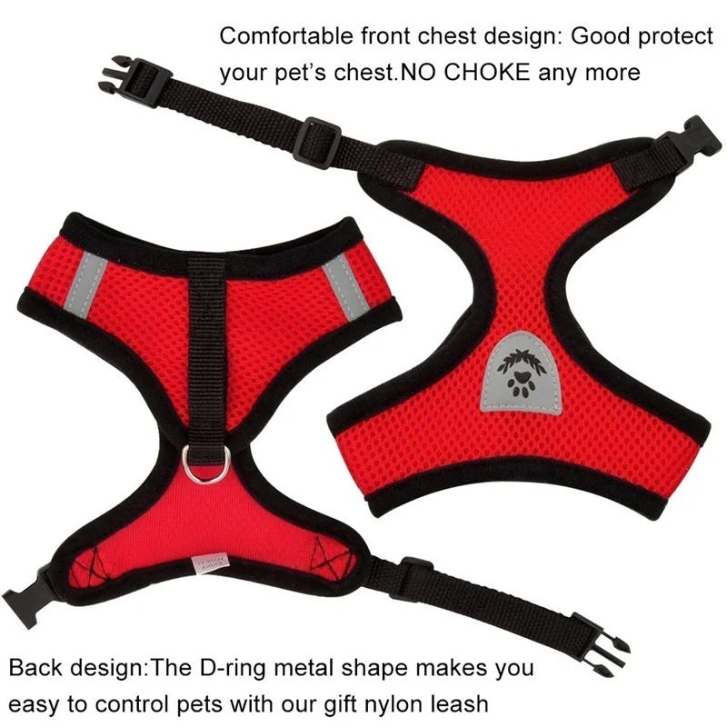 Small Dog Mesh Harness & 1.1 m Lead Set