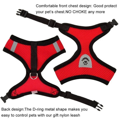 Small Dog Mesh Harness & 1.1 m Lead Set
