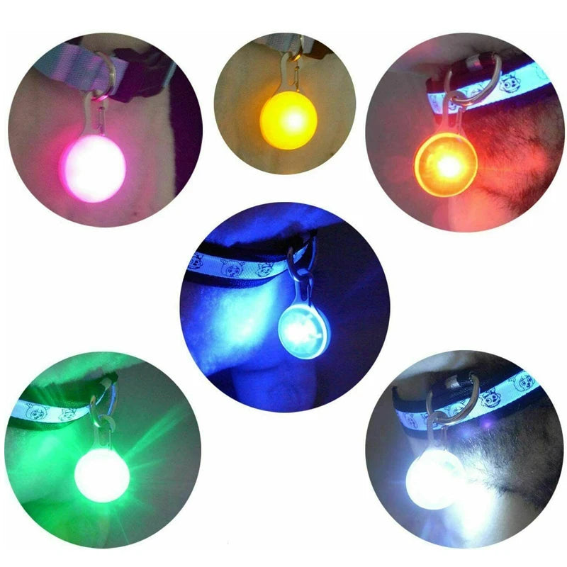 LED Luminous Dog Cat Collar Pendant Glowing Charm Lights Colorful Safety Lights for Night Walking Pet Collar Supplies Accessorie