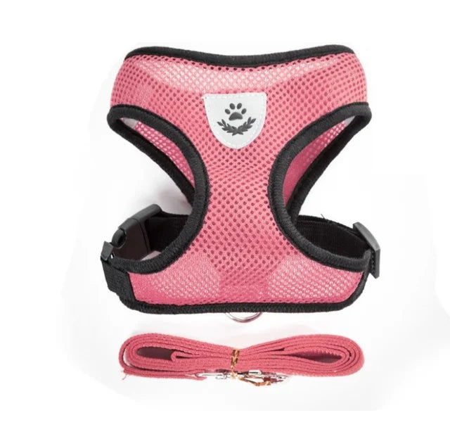 Small Dog Mesh Harness & 1.1 m Lead Set