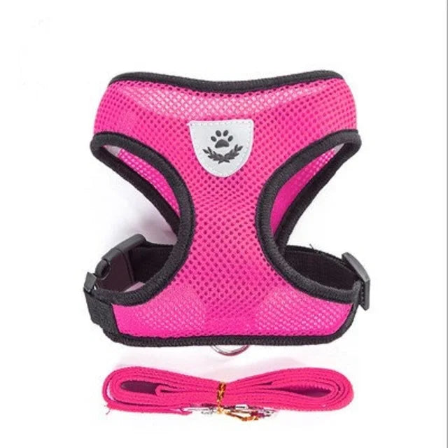 Small Dog Mesh Harness & 1.1 m Lead Set