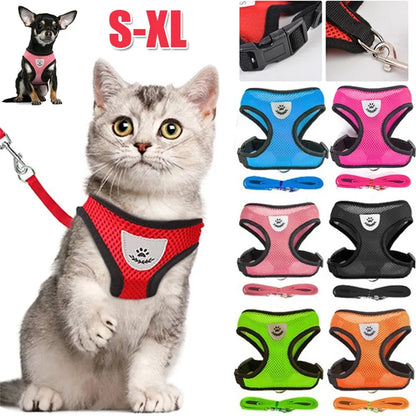 Small Dog Mesh Harness & 1.1 m Lead Set