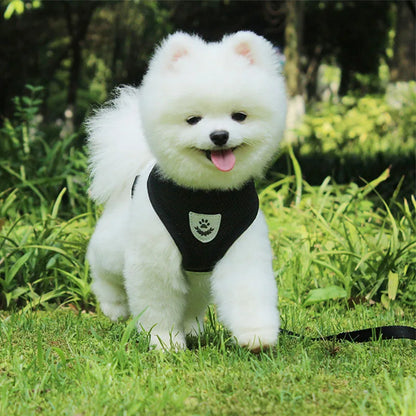 Mesh Pet Harness