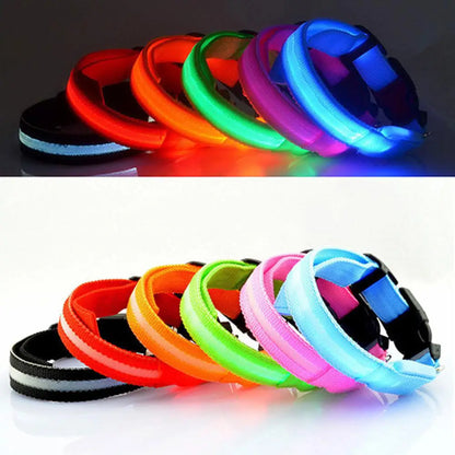 Battery-Powered LED Dog Collar