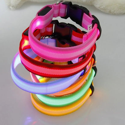 Battery-Powered LED Dog Collar
