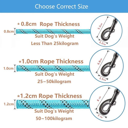 Everyday Rope Dog Lead