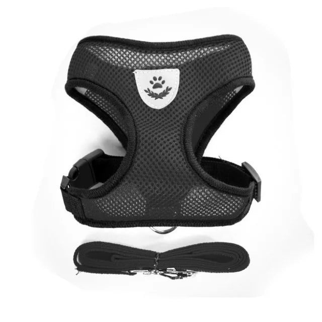 Small Dog Mesh Harness & 1.1 m Lead Set