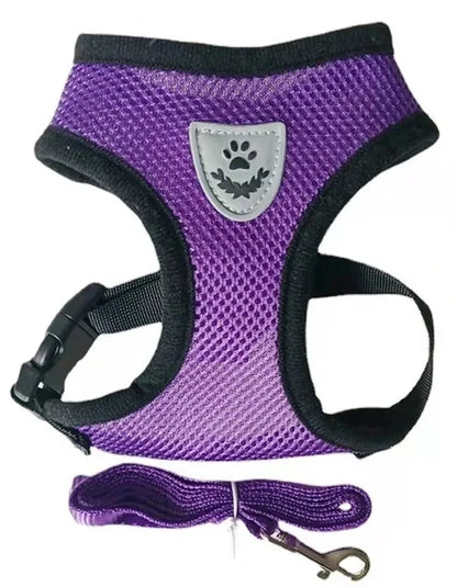 Small Dog Mesh Harness & 1.1 m Lead Set