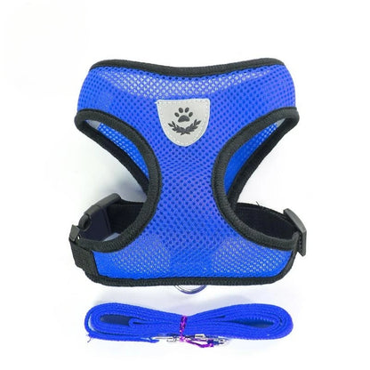 Small Dog Mesh Harness & 1.1 m Lead Set