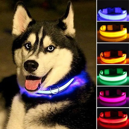 Battery-Powered LED Dog Collar