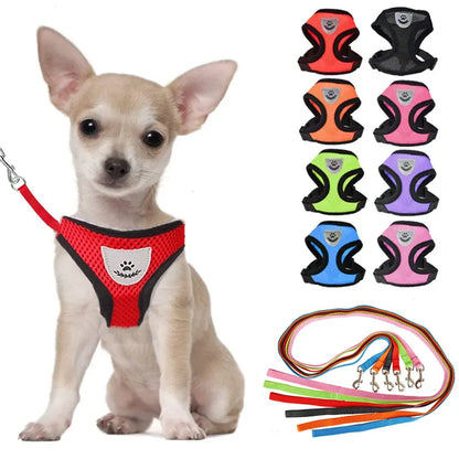 Mesh Pet Harness
