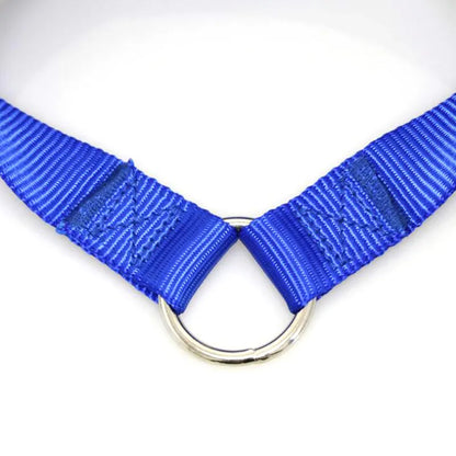 Twin Dog Lead Coupler