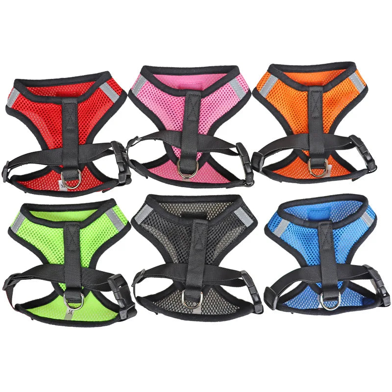 Small Dog Mesh Harness & 1.1 m Lead Set