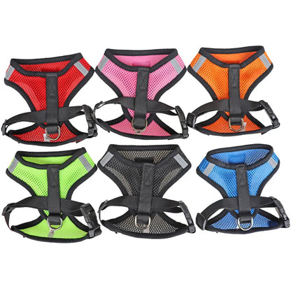 Small Dog Mesh Harness & 1.1 m Lead Set